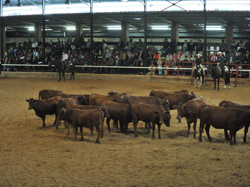 Commercial Property for Sale in Parys Free State